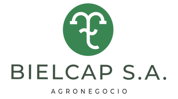imagotipo bielcap s.a.