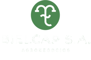 imagotipo bielcap.s.a